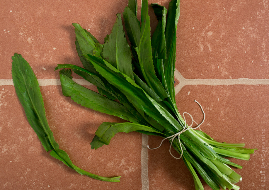 shopping guide ingredient - culantro