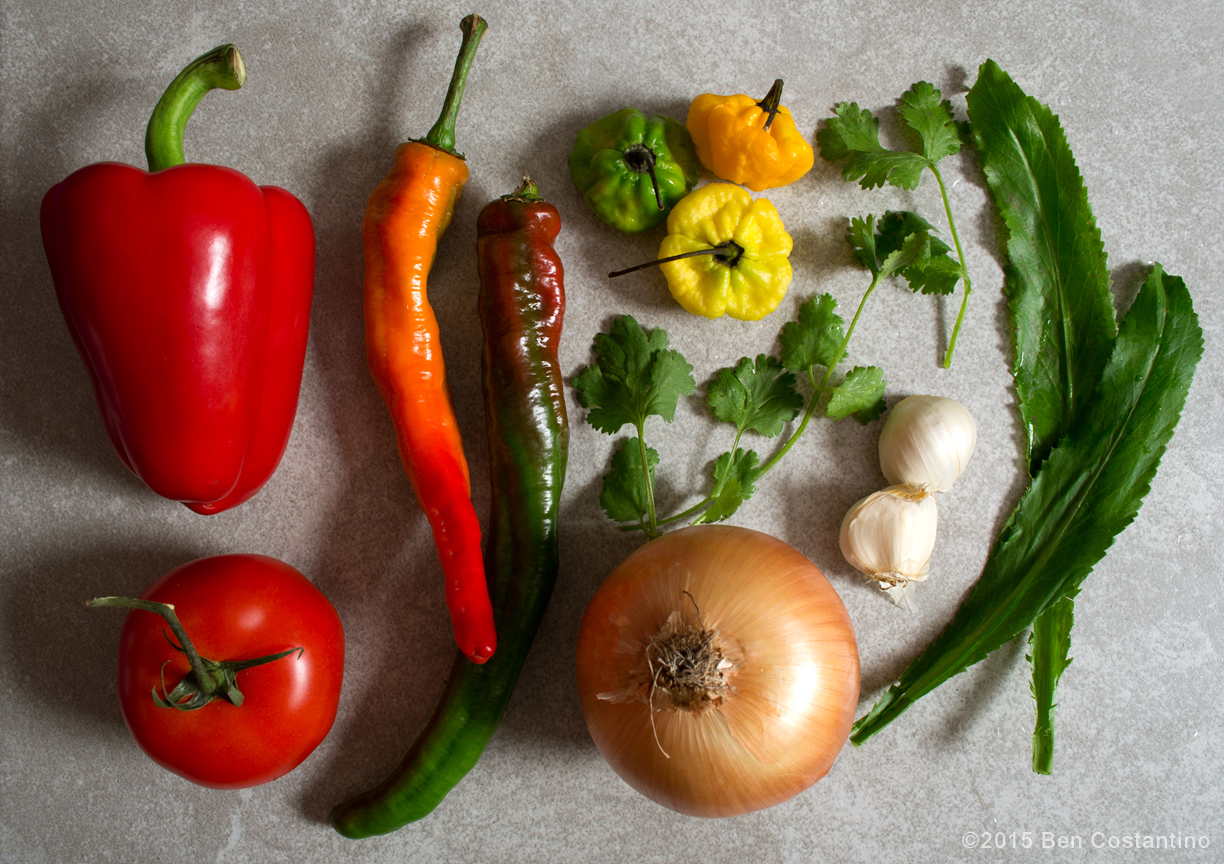 Puerto Rican sofrito ingredients - ajicito dulce peppers, culantro, cilantro, garlic, tomato, red pepper, spanish onion, long hot Italian peppers