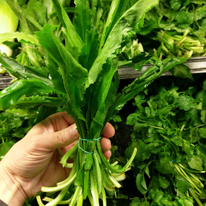 shopping guide ingredient - culantro on the shelf