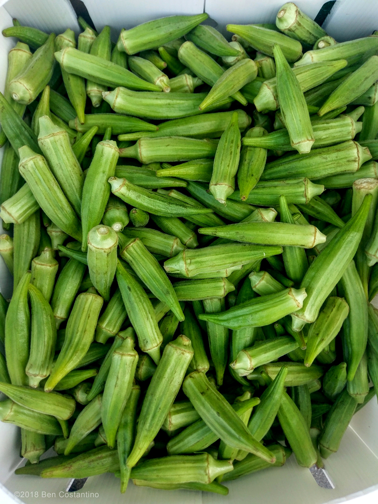 shopping guide ingredient - okra