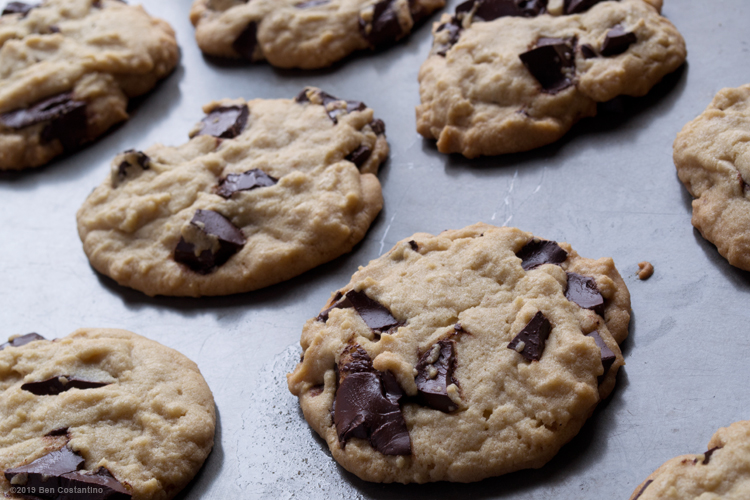 chocolate chip cookies fresh out of the oven
