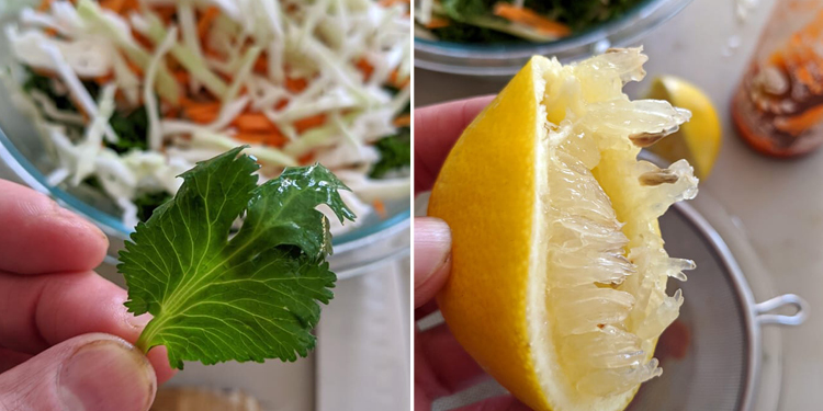whole cilantro leaf and freshly squeezed lemon for lemon juice