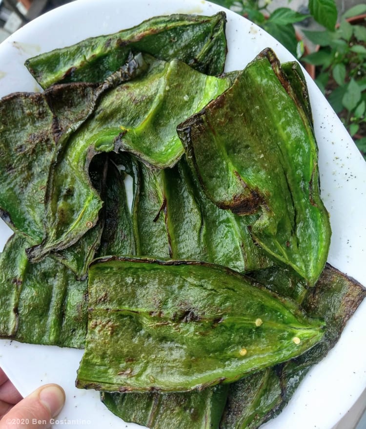 poblano peppers fresh off the grill