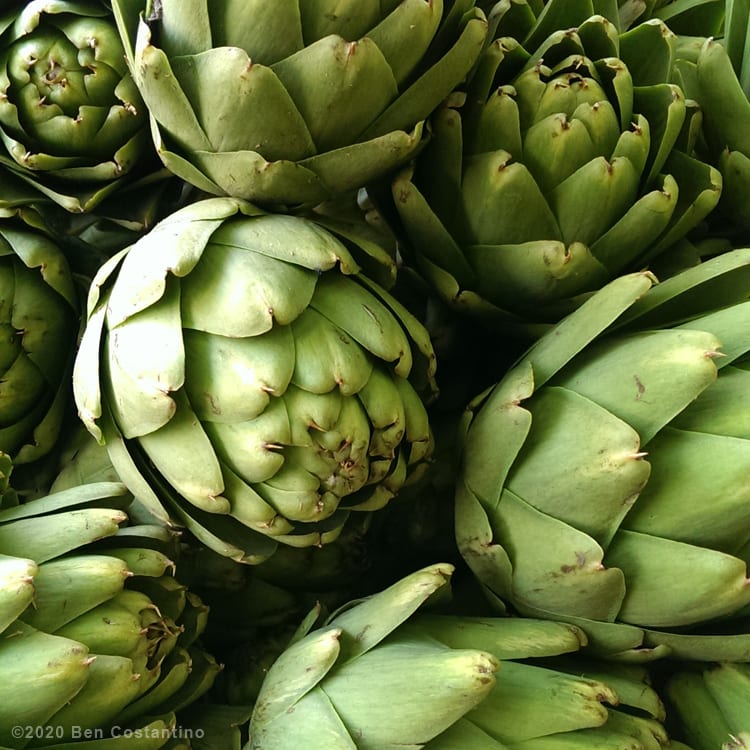 raw artichokes