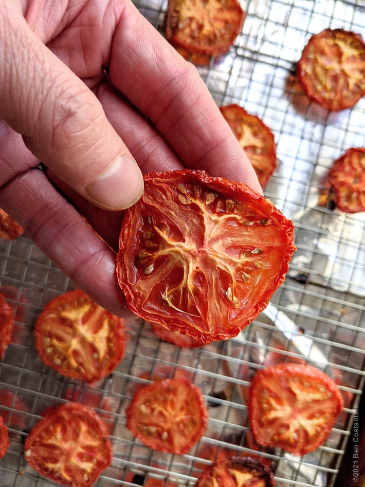 oven-dried tomato slices fresh out of the oven