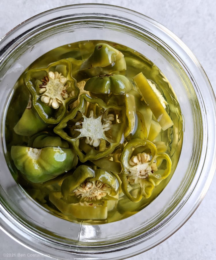 Scotch bonnet peppers sliced and stored in vinegar in the fridge.