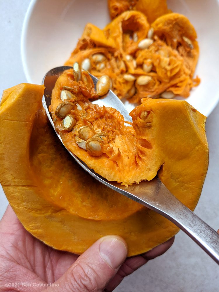 seeding calabaza pumpkin